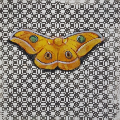 Moth2